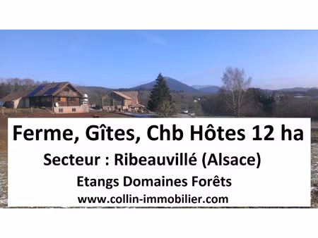 achat terrain 120 000m² ribeauville 68150