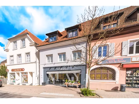 achat maison 10 pièces 289m² habsheim 68440
