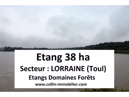 achat terrain 380 000m² toul 54200