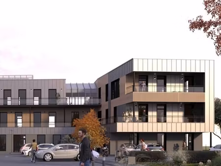 achat local professionnel 3 631m² wambrechies 59118