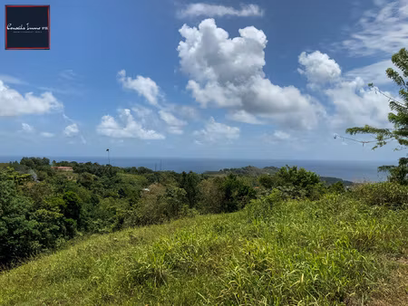 achat terrain 9 630m² ste marie 97230