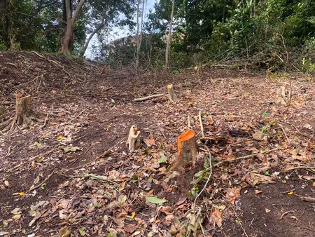 achat terrain 2 634m² la trinite 97220