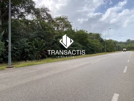 achat terrain 11 977m² remire montjoly 97354