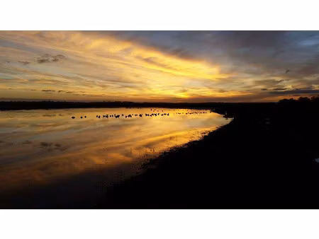 achat terrain 15 000m² warhem 59380