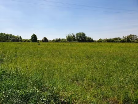 achat terrain 8 896m²
