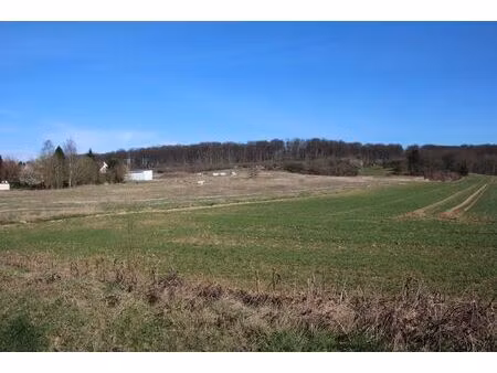 achat terrain 8 000m²