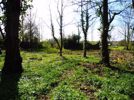 achat terrain 1 815m²