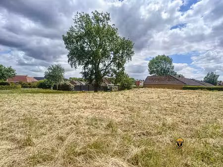 achat terrain 577m² rexpoede 59122