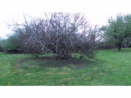 achat terrain 1 669m² y 80190