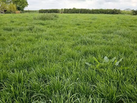 achat terrain 3 080m²