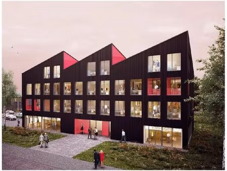 location local professionnel 236m²