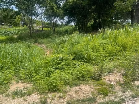 achat terrain 5 950m² petit canal 97131