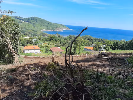 achat terrain 7 465m² ste marie 97230