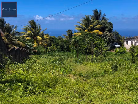 achat terrain 1 316m² basse pointe 97218