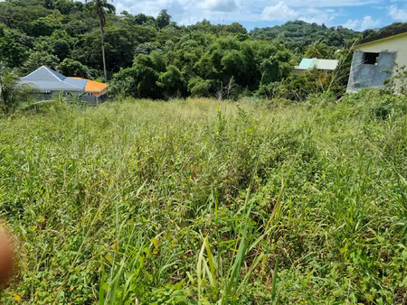 achat terrain 1 439m² ducos 97224