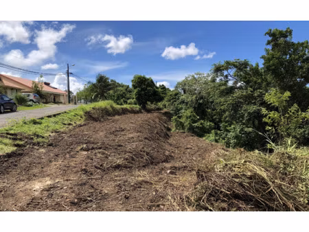 achat terrain 1 709m² schoelcher 97233