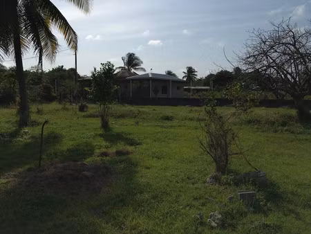 achat terrain 1 418m² petit canal 97131