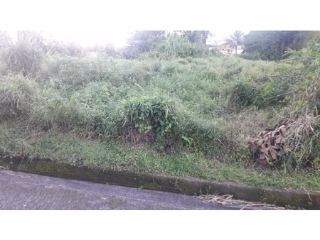 achat terrain 1 197m² l ajoupa bouillon 97216