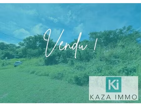 achat terrain 387m² les trois ilets 97229