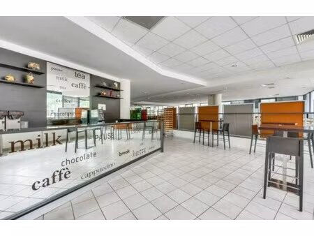 location local professionnel 1 545m²