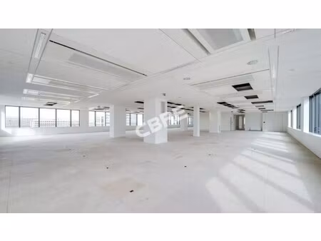 location local professionnel 2 806m²