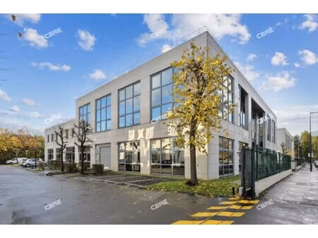 location local professionnel 1 035m²