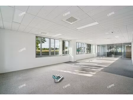 location local professionnel 598m²