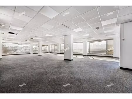location local professionnel 3 741m²