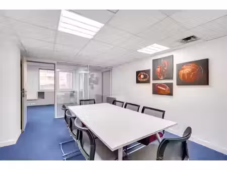 location local professionnel 517m²