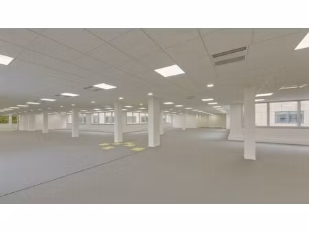 location local professionnel 890m²