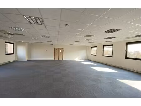 location local professionnel 1 303m²