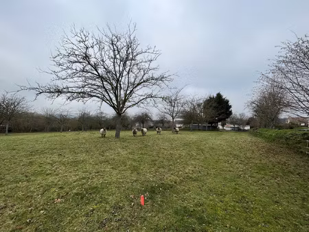 achat terrain 1 112m² le mesnil raoult 50420