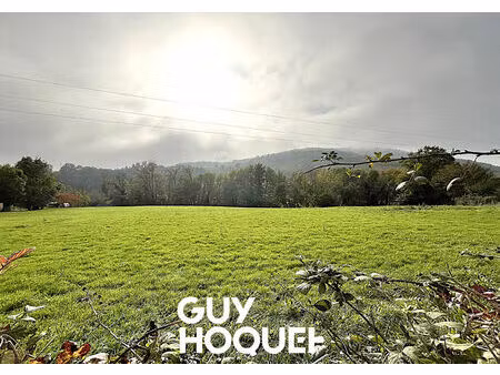 sous compromis // terrain de 3790 m² environ dont 3625 m² constructible - 69840 julienas