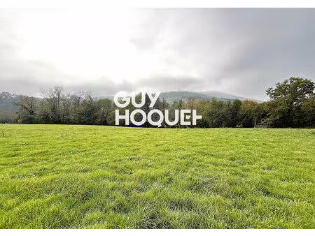 terrain de 3790 m² environ dont 2099 m² constructible - 69840 julienas