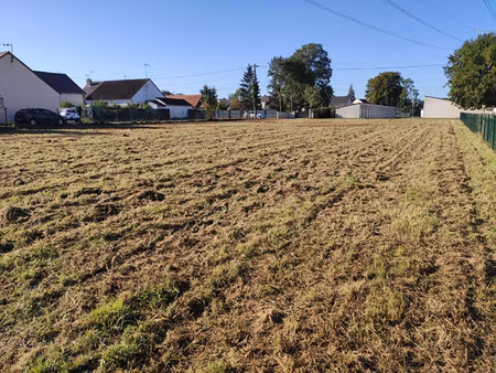 achat terrain 1 100m² st laurent nouan 41220