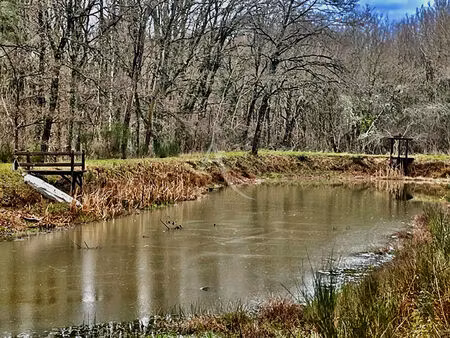 achat terrain 5 081m²