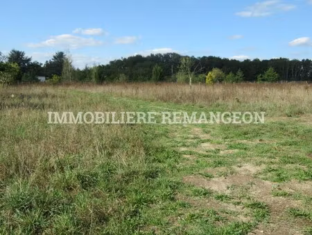 achat terrain 3 178m² chaumont sur tharonne 41600
