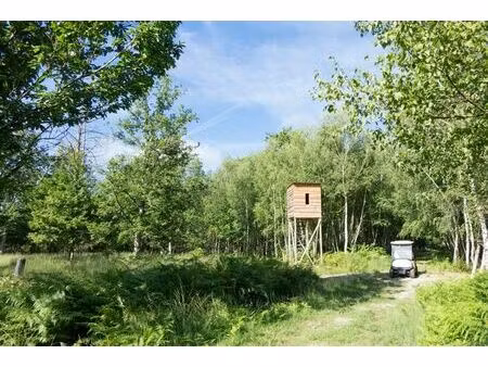 achat maison 13 pièces 710m² isdes 45620