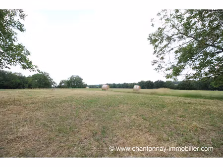 achat terrain 2 218m² la caillere st hilaire 85410