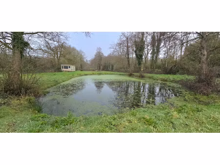 achat terrain 6 000m² moutiers les mauxfaits 85540