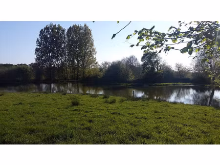 achat terrain 5 915m² ruffigne 44660