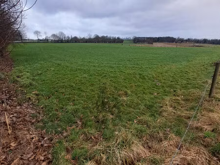 achat terrain 38 409m²