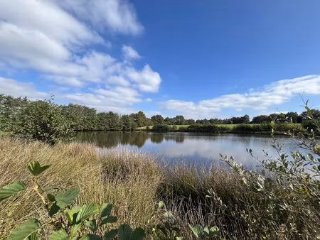 achat terrain 30 000m² aubigny les clouzeaux 85430