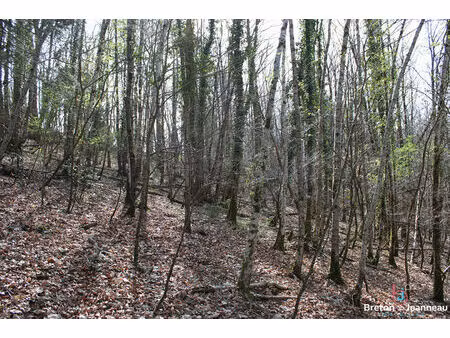 achat terrain 94 036m²