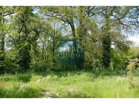 achat terrain 1 115m² aigrefeuille sur maine 44140