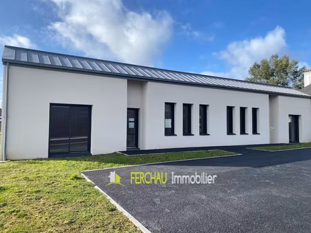 achat local professionnel 150m²