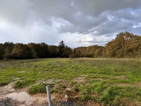 achat terrain 8 000m² orvault 44700