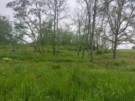 vente maison 2400 m² saint-romain-sur-cher (41140)