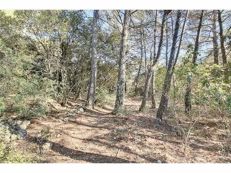 a vendre exclusivite ! terrain non constructible lentier 10 40 hectares