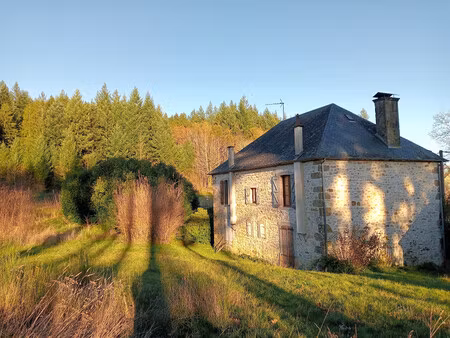 maison à vendre à lamazière-basse (19160) - corrèze